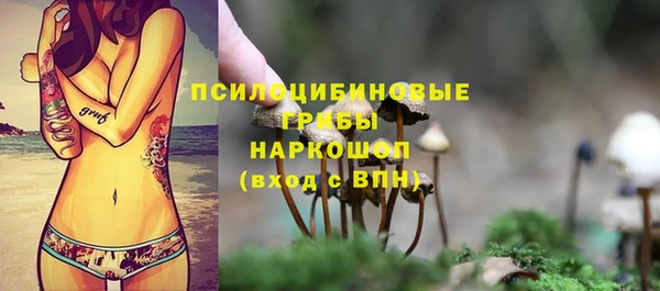 крисы Коряжма