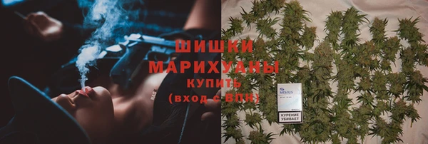 крисы Коряжма