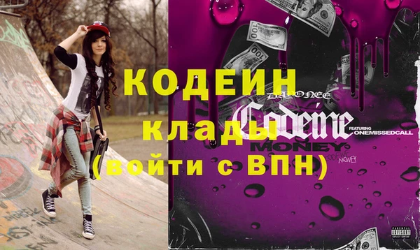 крисы Коряжма