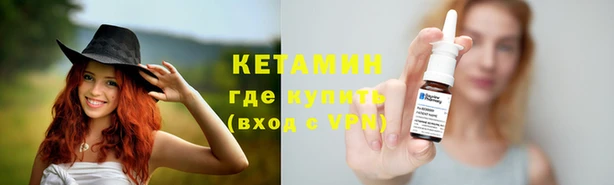 крисы Коряжма