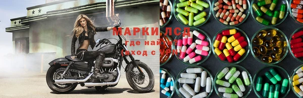 крисы Коряжма