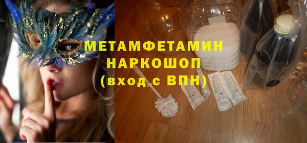 крисы Коряжма