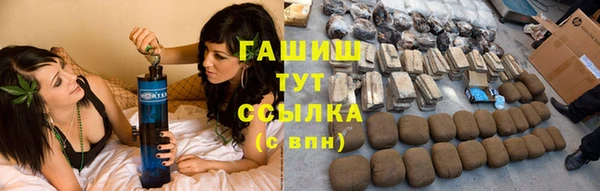 крисы Коряжма