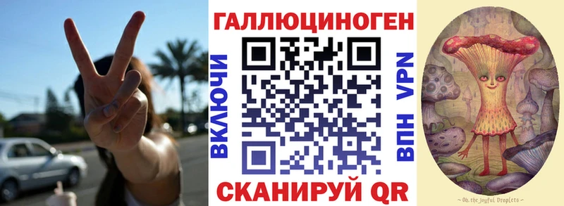 Галлюциногенные грибы Psilocybe  площадка клад  Козьмодемьянск 